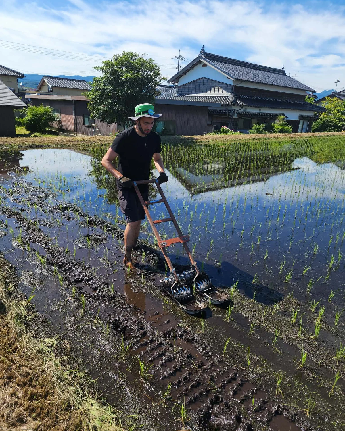 Une rizière japonaise dans un petit village, à la tombée du jour